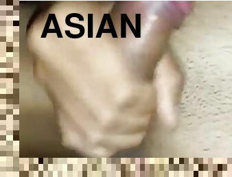 Asian cock