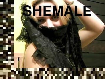 Compelling shemale gets an erection that's pretty hard to forget