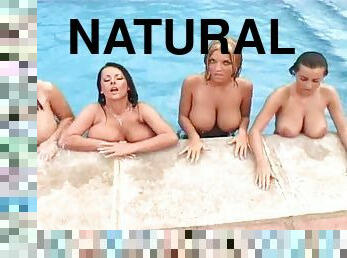 Four chicks show their huge tits at a pool party