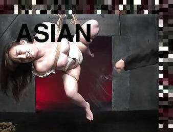 asian plumper BDSM hard sex video