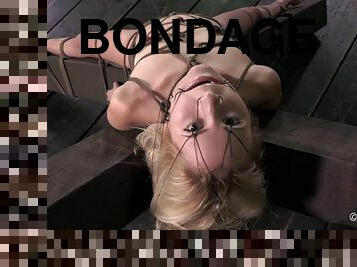 Sexy slaved blonde in bondage being stripped lovely in BDSM porn