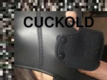 Submissive cuckold Wife has to suck cock