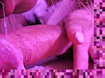 amatør, blowjob, par, svelging, pov, cum, sperm, fetisj, pikk