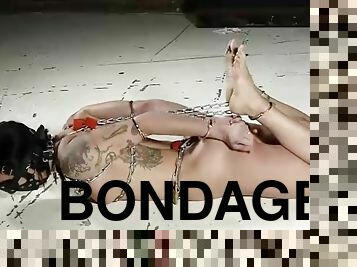 bdsm, fétiche, bondage, brunette, tatouage