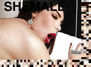 Horny shemale enjoy hard fuck