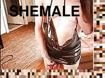 Videoclip - Shemales 2
