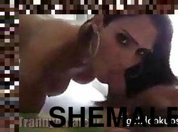 Shemale Slut Video fuck