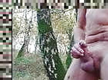 jerk off outdoor