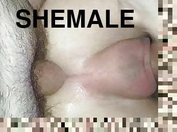 malaking-suso, lalaking-babae-shemale, puwetan, matanda, malaking-titi, creampie, bata18, italyano, pangibabawan, maliit-na-suso