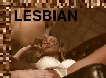 Lingerie wearing lesbians go pussy to pussy with their toys