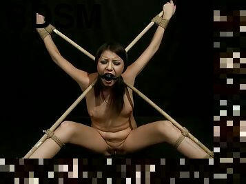 Crucified Karen gets toyed and fucked in BDSM video