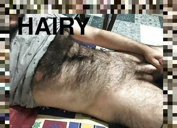 I'm getting ready to masturbate by stroking my hairy body