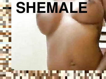 Shemale Hardcore Sex 246