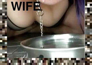drinking from a dog bowl, bdsm