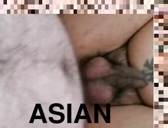 asiatisk, amatør, stor-pikk, homofil, lubben, pov, hvit, pikk
