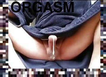 Juicy precum and handsfree orgasms