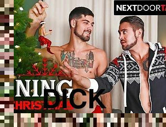 NextDoorTaboo - Stepbrother Fucked On Christmas