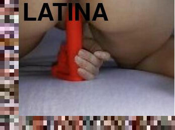 latina, vagina-vagina