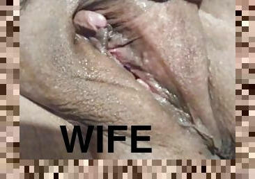 My wife's pussy