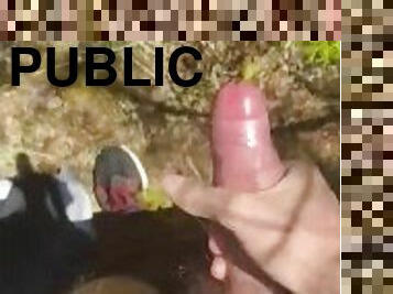 Playing with my 8.5 inch cock in public