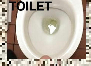 Toilet piss