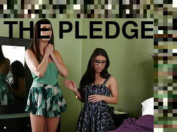 The pledge: part one