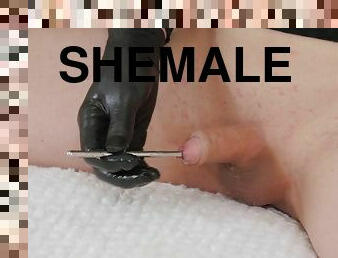 shemale, kuk