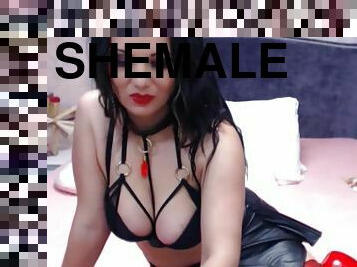 Gorgeous shemale with a nice beautifull tits camshow