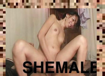 Pretty Hot Shemale On threesome