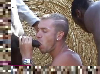 FrenchPorn.fr - Threesome in a wheat field