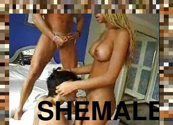 Blonde shemale and two guys screw