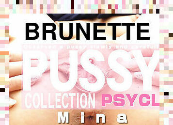 fitta-pussy, brunett