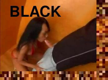 Black girl sucks white cock and gets nailed