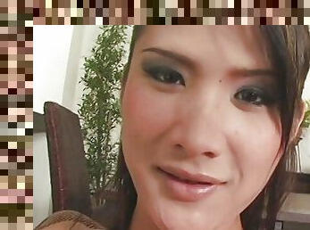 Cute Asian tranny chauvers lusty fellow