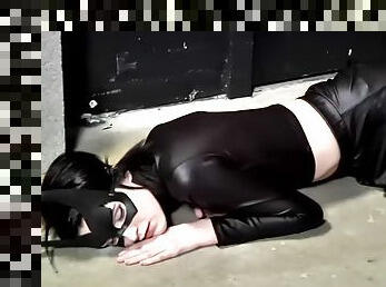 Anybody like a good superheroine porno?