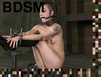 PD likes nothing as much as feeling helpless and tortured