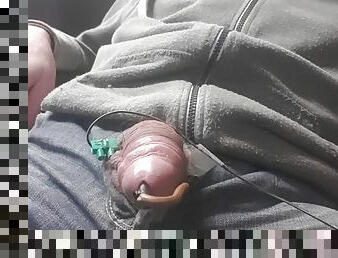 E-whip with needle in penis shaft 1