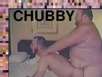 A Chubby Bear  Chunky Cub Have Some Fun