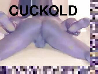 Cuckold Archive - Largest video collection of cuckold videos