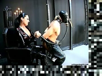 Domina Zara