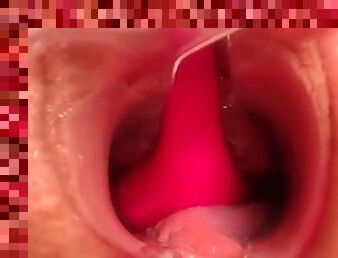 Pregnant Pussy - The Inside Look