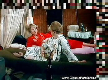 Parody Retro Fun Seventies Classic