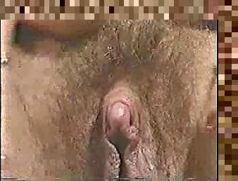 His Mother Has Big Clit