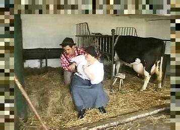How to milk a cow